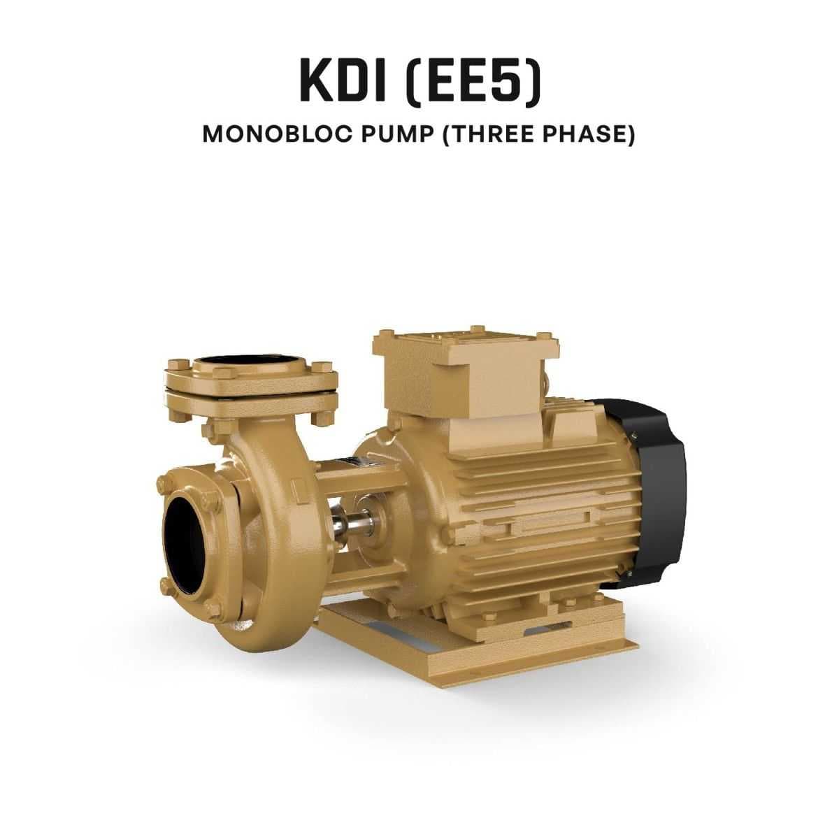 Monobloc Pump - Image 1